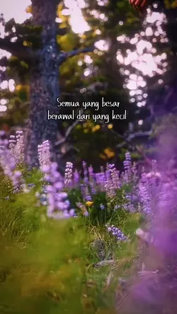 Motivasi 