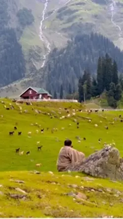 In the Village