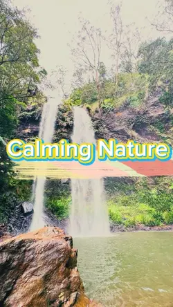 7 vid - relax/nature