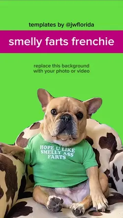 smelly fart frenchie