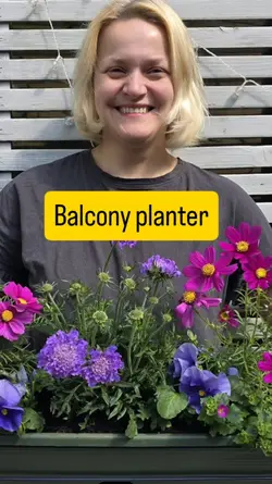 summer plants