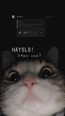 vn cewe