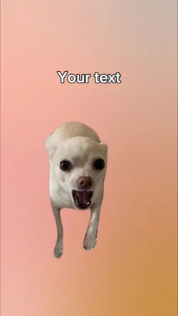 Dog talking 🤣
