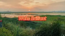Wake Brilliant
