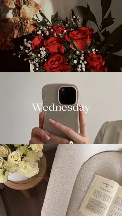 Wednesday