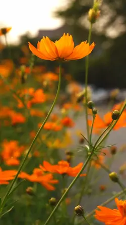 Word: Hope 
