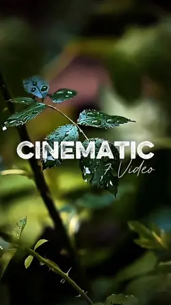 cinematic 6 video
