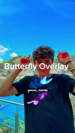 Butterfly Overlay 