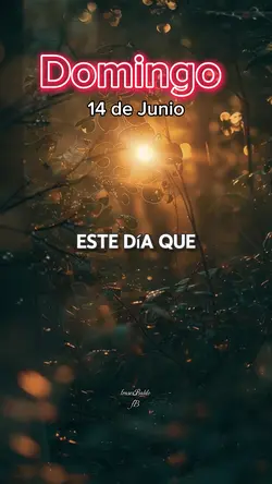 Domingo 14 de Julio