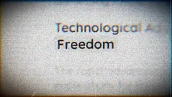 Freedom