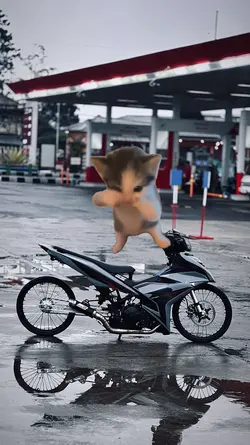 trend jj kucing