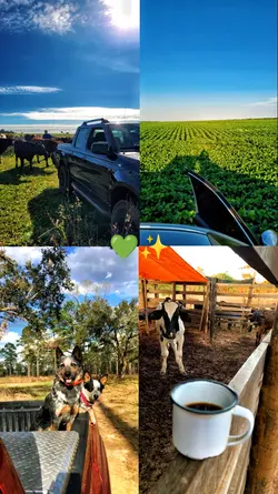 tipografia fazenda 