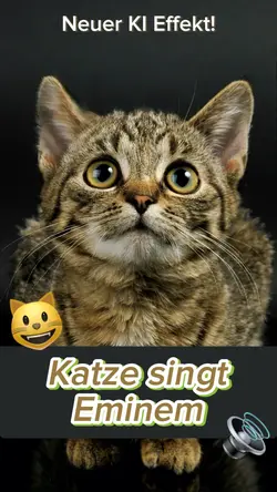 Katze singt 😺🔊