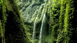 nature vibes