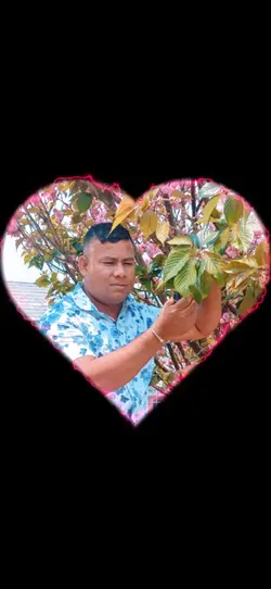 Fulko mulya rahdain 