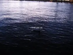 i love you so