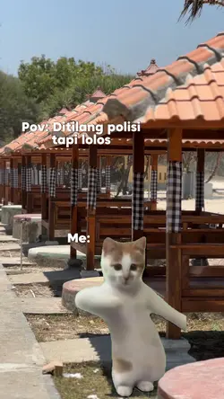 POV Teks bisa dignti