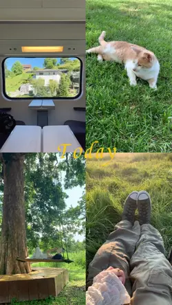 today dump