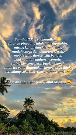Bumil TM 3 | trend