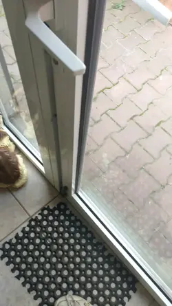 wez sie w 
