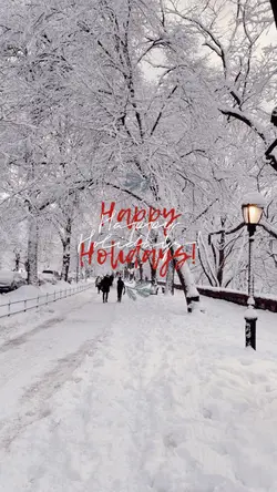 Happy Holidays ! 