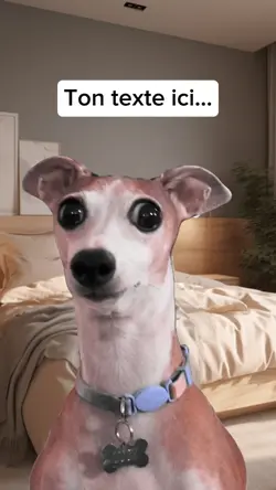 Anxiety dog