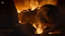 Król Lew 1 2019r.
