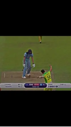 Cricket template 