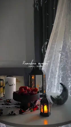 mini vlog