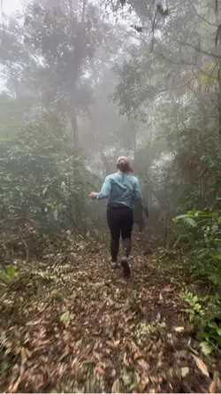 Paseban Downhill