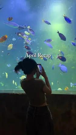 April recap 2024