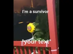 I’m a survivor meme