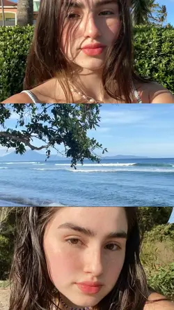 3 Grid Video