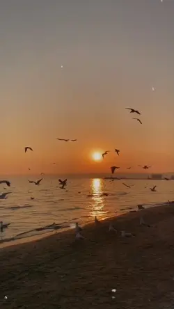 calming song 