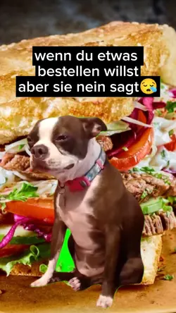 memecut essen