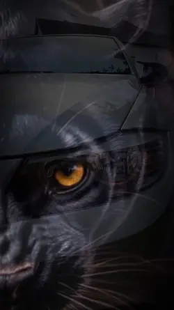 panther.