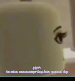 Cats and dogs 