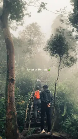 Cinematic video