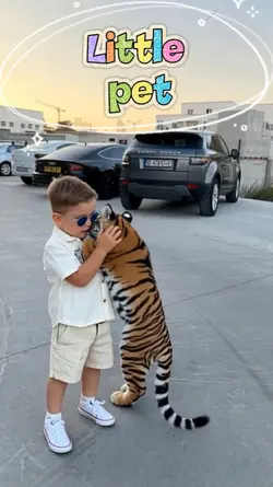 Little Tiger