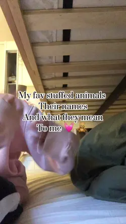 Stuffed animals 🧸 