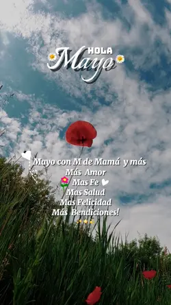 hola Mayo