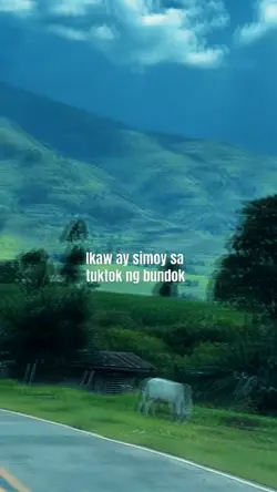 Simoy 