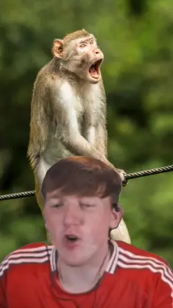 Angry Ginge Meme