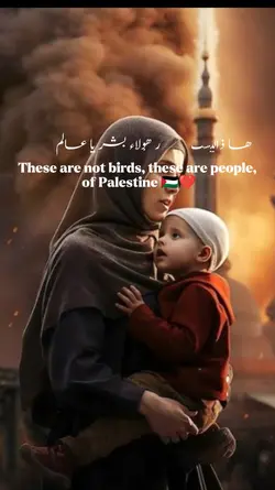 Muslim Countries Sil