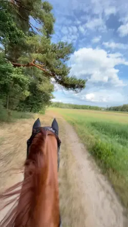 Ausreiten 
