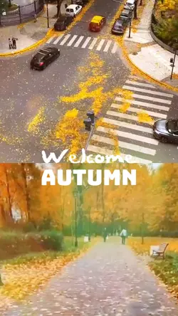 Welcome Autumn