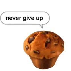 never give up