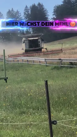 Trecker fuhrn 