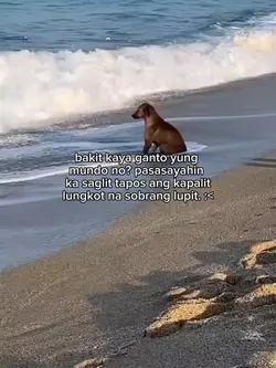 bakit kaya?