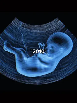 2010 version 